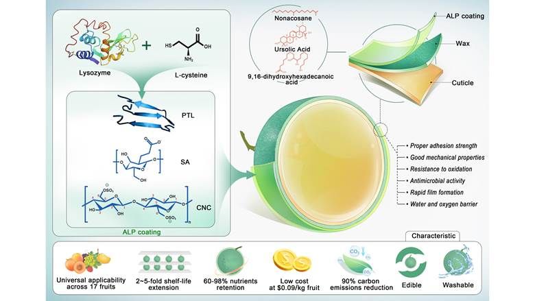 图示 AI 生成的内容可能不正确。
